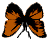 <img:stuff/BttrflyOrgBlkDwn.png>