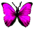 <img:stuff/BttrflyPink.png>