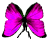<img:stuff/BttrflyPinkDwn.png>