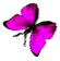 <img:stuff/BttrflyPinkLftDwn.png>