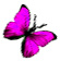 <img:stuff/BttrflyPinkRt.png>