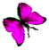 <img:stuff/BttrflyPinkRtDwn.png>