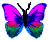 <img:stuff/BttrflyPinkVar.png>