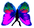 <img:stuff/BttrflyPinkVarDwn.png>