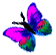 <img:stuff/BttrflyPinkVarLft.png>