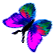 <img:stuff/BttrflyPinkVarLftDwn.png>