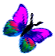<img:stuff/BttrflyPinkVarRt.png>