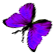 <img:stuff/BttrflyPurpLftDwn.png>