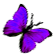 <img:stuff/BttrflyPurpRt.png>