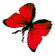 <img:stuff/BttrflyRedLftDwn.png>
