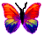 <img:stuff/BttrflyRedOrgVar.png>