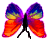 <img:stuff/BttrflyRedOrgVarDwn.png>