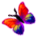 <img:stuff/BttrflyRedOrgVarLft.png>
