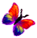 <img:stuff/BttrflyRedOrgVarRt.png>