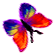 <img:stuff/BttrflyRedOrgVarRtDwn.png>