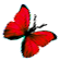 <img:stuff/BttrflyRedRt.png>