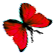 <img:stuff/BttrflyRedRtDwn.png>