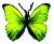 <img:stuff/BttrflySpGrn.png>
