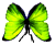 <img:stuff/BttrflySpGrnDwn.png>