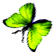 <img:stuff/BttrflySpGrnLftDwn.png>