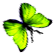 <img:stuff/BttrflySpGrnRtDwn.png>
