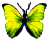 <img:stuff/BttrflyYel.png>