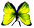 <img:stuff/BttrflyYelDwn.png>