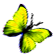 <img:stuff/BttrflyYelRt.png>