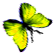 <img:stuff/BttrflyYelRtDwn.png>
