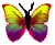 <img:stuff/BttrflyYelVar.png>