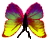 <img:stuff/BttrflyYelVarDwn.png>