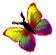 <img:stuff/BttrflyYelVarLft.png>