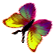 <img:stuff/BttrflyYelVarLftDwn.png>