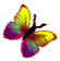 <img:stuff/BttrflyYelVarRt.png>