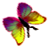<img:stuff/BttrflyYelVarRtDwn.png>