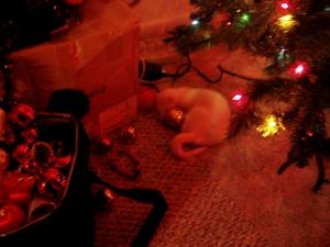 <img300*0:stuff/Buddy.jpg>