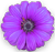 <img:stuff/BulletZin2.png>