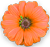 <img:stuff/BulletZin7.png>