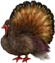 <img:stuff/Bullet_Gobbler_rev!.png>