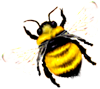 <img:stuff/Bumblebee_left_SM.png>