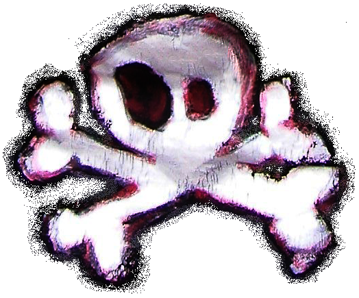 <img:stuff/ButtPirate%20Skull%20full.png>