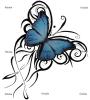 Butterfly_and_Flower