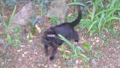 <img0*100:stuff/C%20in%20the%20garden%204a.jpg>
