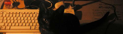 <img500*0:stuff/C%20on%20desk%205thwk%201a.jpg>