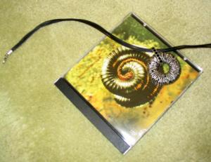 <img300*0:stuff/C%3ACarrie%27s%20Crapmephotos2006_07_26NINjewellary.jpg>