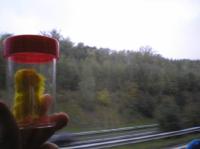 <img200*0:stuff/C%3ADocuments%20and%20SettingsAllisonBureaubladMM%202.bmp.jpg>