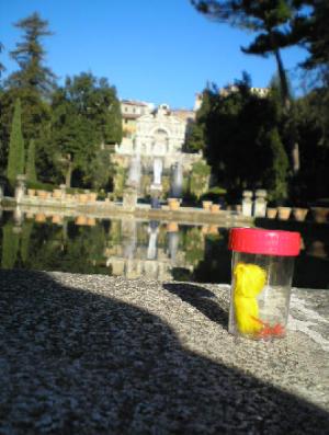 <img300*0:stuff/C%3ADocuments%20and%20SettingsAllisonBureaubladMM%2066.bmp.jpg>