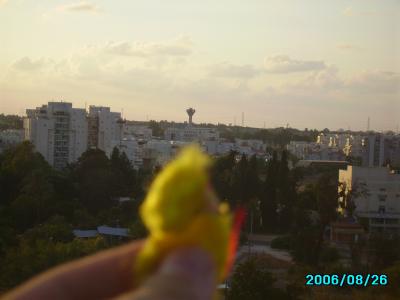 <img400*0:stuff/C%3ADocuments%20and%20SettingsAllisonBureaubladMM%20in%20Israel10.JPG>