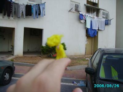 <img400*0:stuff/C%3ADocuments%20and%20SettingsAllisonBureaubladMM%20in%20Israel11.JPG>