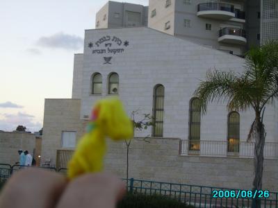 <img400*0:stuff/C%3ADocuments%20and%20SettingsAllisonBureaubladMM%20in%20Israel12.JPG>